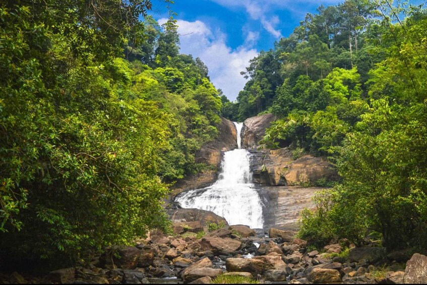 A waterfall surrounded by dense green forest. 4