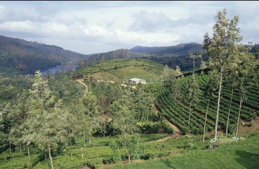 Picture 4 for Activity Sigiriya to Baker’s Bend Adventure Day Tour 5