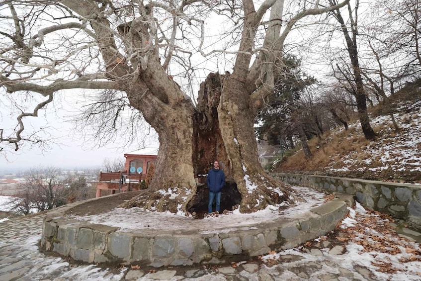 Picture 12 for Activity Kakheti Wine Tour: 7 Tastings & Sighnaghi 4