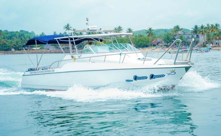 A white boat named 'Ocean Queen' on a calm sea with a backdrop of palm trees and a beach. 1
