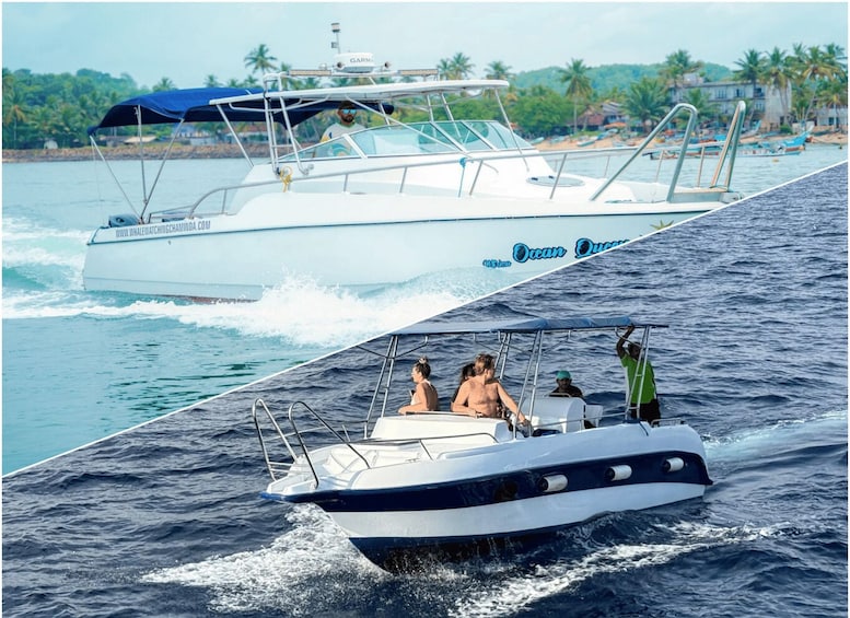 Mirissa Whale Watching Private Speedboat Tour 1