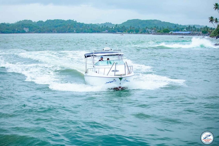 Picture 12 for Activity Mirissa Whale Watching Private Speedboat Tour 5