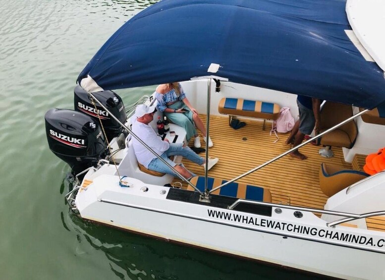 Picture 9 for Activity Mirissa Whale Watching Private Speedboat Tour 3