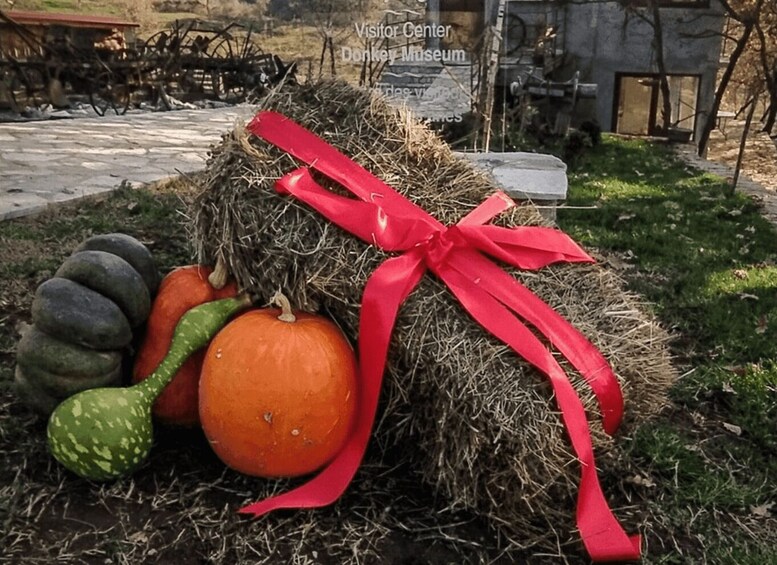 A hay bale with a red ribbon, a pumpkin, a squash, and a watermelon. 5
