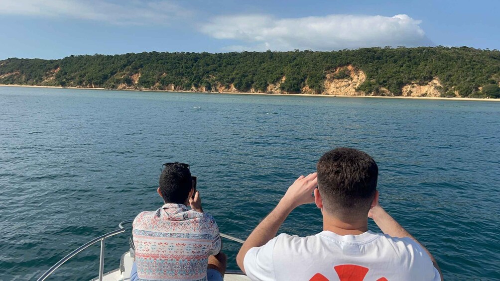 Picture 5 for Activity Maputo: Whale Watching, Day Trip 2
