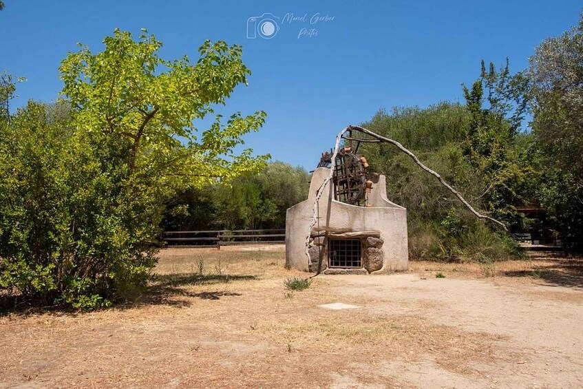 Picture 11 for Activity Dorgali: Entry to Museum S'Abba Frisca & Sardinian Aperitivo 5