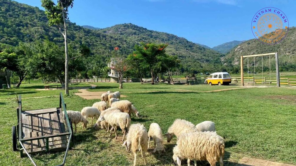 Picture 10 for Activity Nha Trang Shore Excursion: Private Shell Pagoda & Sheep Farm 5