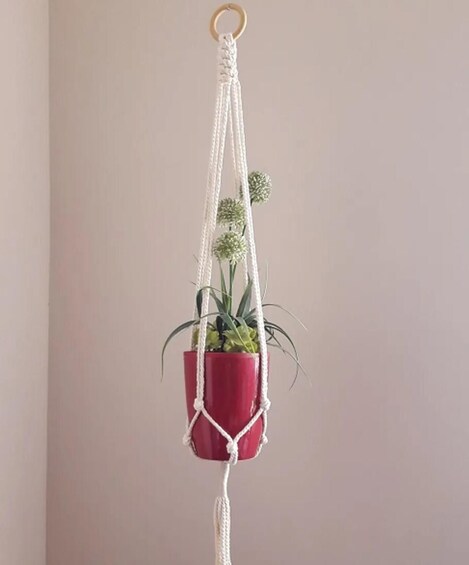 Picture 6 for Activity Leipzig: Macrame Plant Hanger or Hanging Shelf Workshop 5