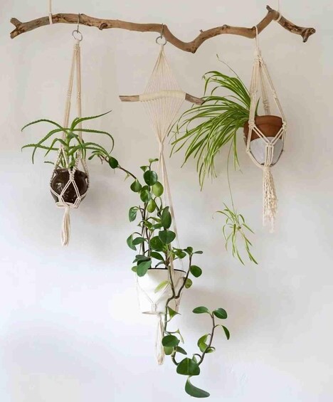 Picture 5 for Activity Leipzig: Macrame Plant Hanger or Hanging Shelf Workshop 3