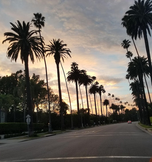 Picture 4 for Activity LA: Panoramic Sunroof Tours of Beverly Hills & Hollywood 3