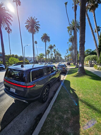 A black SUV parked on a street lined with palm trees and a clear blue sky. 3
