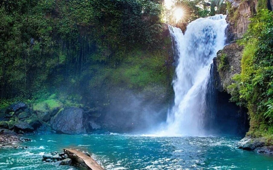 Picture 2 for Activity Bali: Ubud, Tanah Lot, and Taman Ayun Temple Tour 5