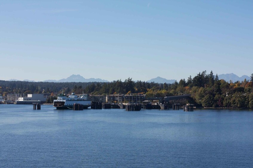 A calm lake with boats docked at piers, surrounded by a forest and mountains in the distance. 1