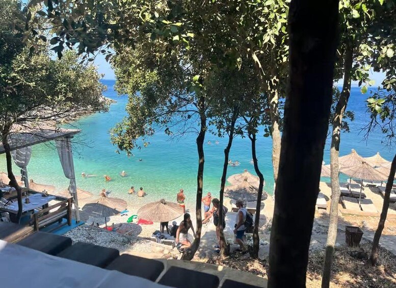 Picture 11 for Activity Durrës: Vlorë Sazan Island, Cave & Karaburun Speedboat Tour 5