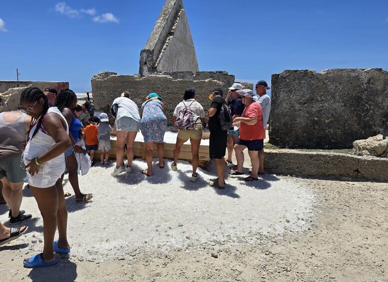 Picture 6 for Activity Bonaire Essential Island Tour with Sorobon Beach Break 3