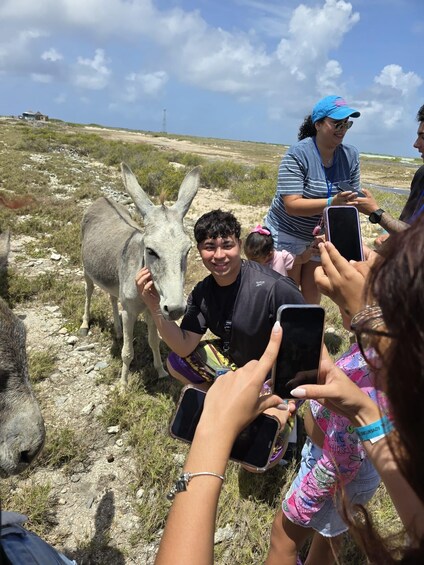 Bonaire Essential Island Tour with Sorobon Beach Break 1