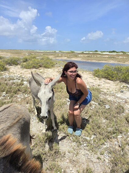 Picture 2 for Activity Bonaire Essential Island Tour with Sorobon Beach Break 2
