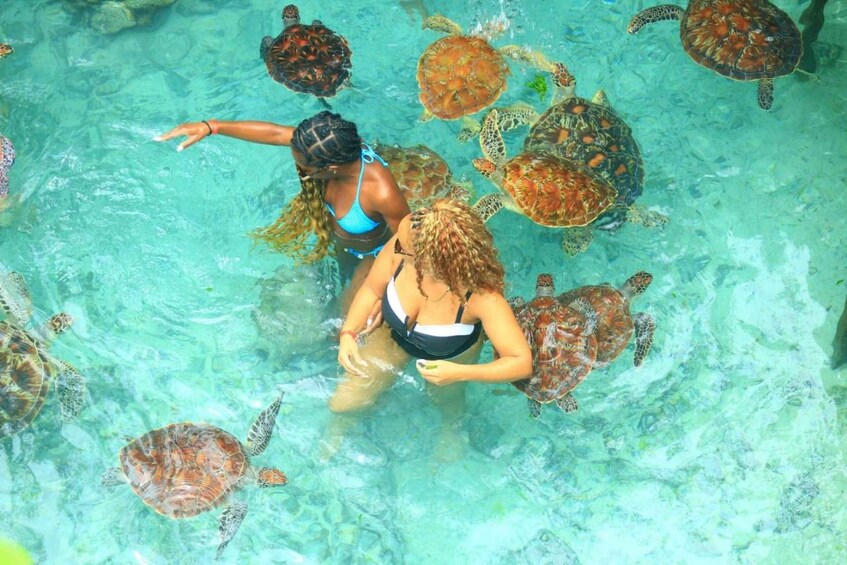 Picture 1 for Activity Zanzibar: Salaam Cave Swimming with Turtles Tour 2