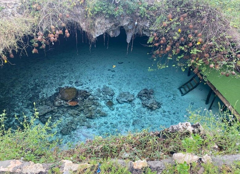 Picture 7 for Activity Zanzibar: Salaam Cave Swimming with Turtles Tour 5