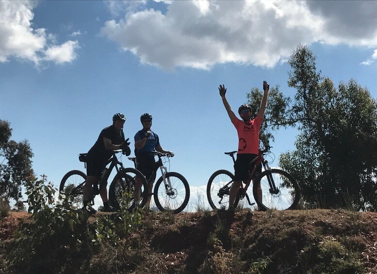 Playa del Carmen: Jungle Mountain Bike Tour with Cenote 1