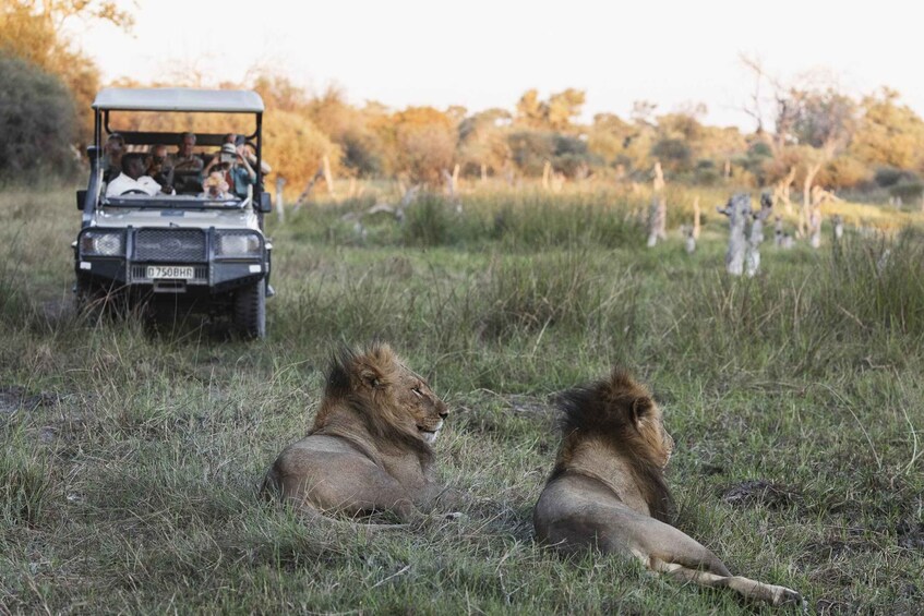Picture 8 for Activity Botswana: Savuti, Khwai, & Moremi 7-Day Mobile Safari 2