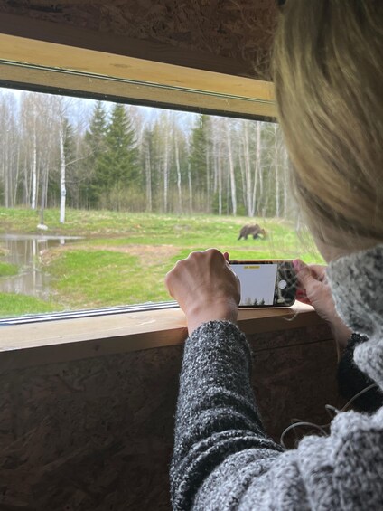 Picture 1 for Activity Tallinn: Wild Bear Watching in Forest, Night in Log House 5