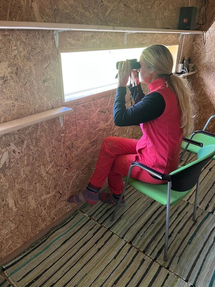 Picture 3 for Activity Tallinn: Wild Bear Watching in Forest, Night in Log House 3