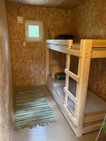 Picture 4 for Activity Tallinn: Wild Bear Watching in Forest, Night in Log House 4