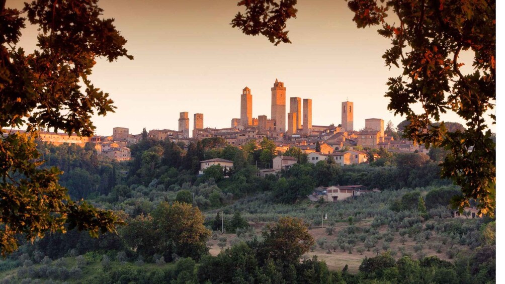 Picture 1 for Activity San Gimignano: The Cellar Lunch & Wine tasting 5