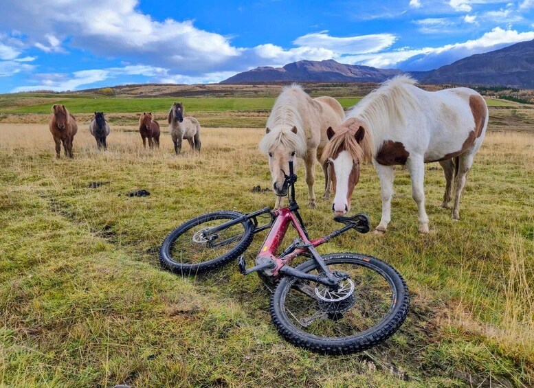 Svarfadadalur Private E-Mtb Tour 1