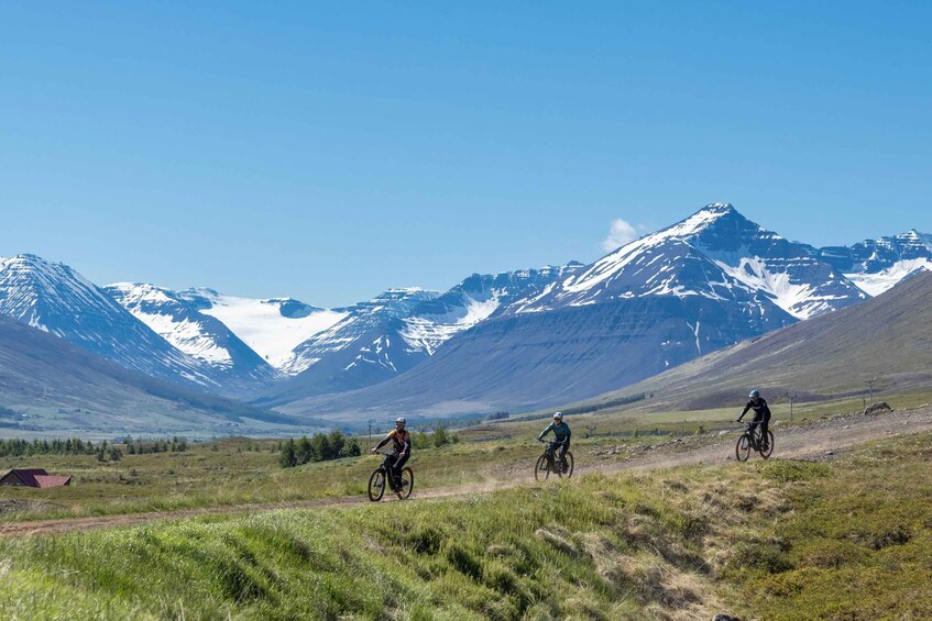 Picture 4 for Activity Svarfadadalur Private E-Mtb Tour 3