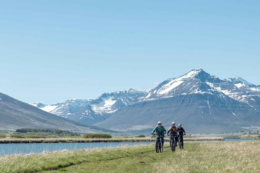 Picture 3 for Activity Svarfadadalur Private E-Mtb Tour 5