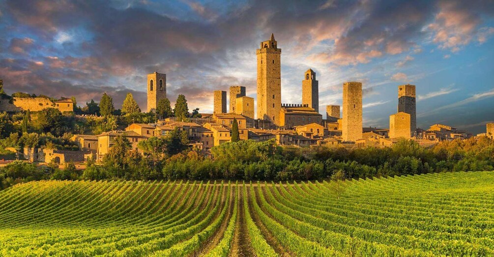 Picture 4 for Activity Siena: San Gimignano, Monteriggioni & Chianti Day Trip 2