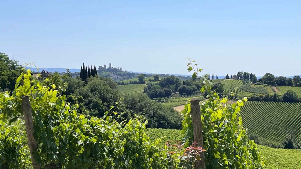 Picture 1 for Activity Siena: San Gimignano, Monteriggioni & Chianti Day Trip 5