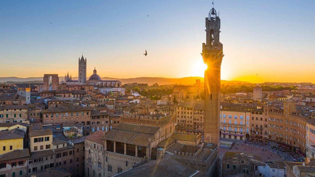 Picture 5 for Activity Siena: San Gimignano, Monteriggioni & Chianti Day Trip 4