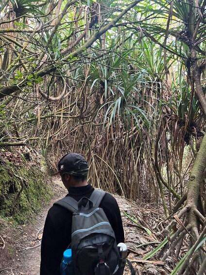 Picture 7 for Activity Berastagi: Guided Volcano Hike, Lake Toba, and Culture Tour 4