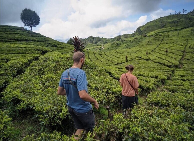 Picture 2 for Activity From Bandung: City Highlights & Yogyakarta Transfer by Train 4