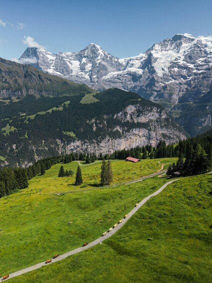 Picture 1 for Activity Lauterbrunnen: Mürren Hike & Paragliding Experience 3