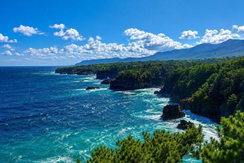 Private Izu Coast Tour from Tokyo: Atami, Mt. Omuro & Jogasaki 4