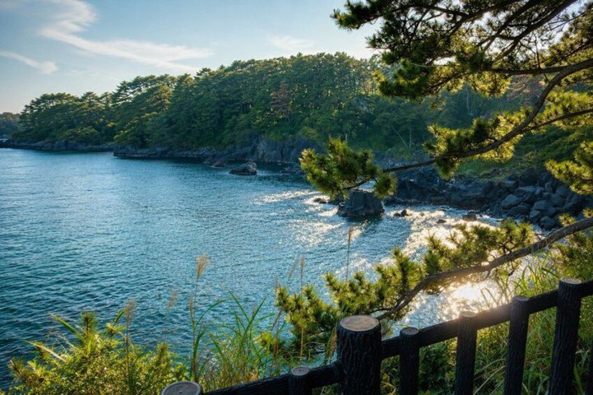 A coastal landscape with a wooden fence, trees, and a rocky shoreline. 4