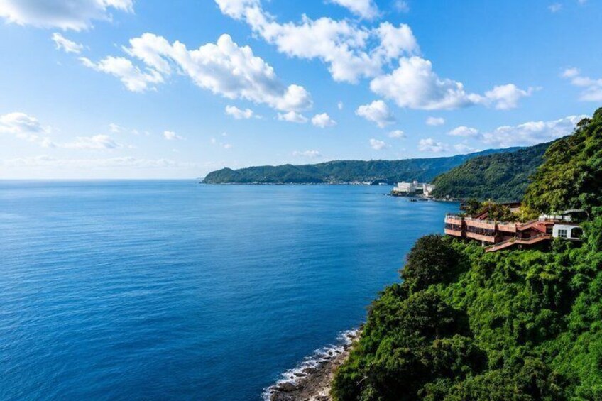 Private Izu Coast Tour from Tokyo: Atami, Mt. Omuro & Jogasaki 2