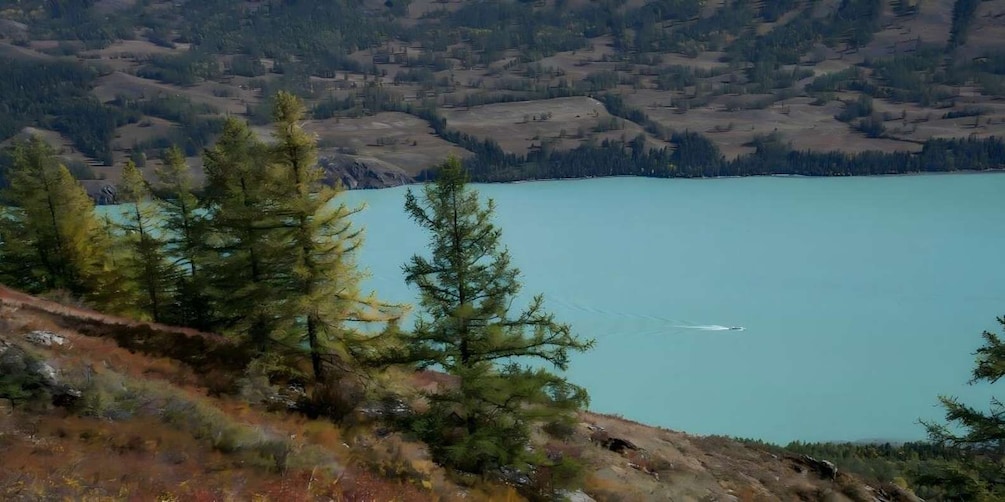 Picture 4 for Activity Urumqi: 9-Day Northern Xinjiang Premium Tour with Guide 4