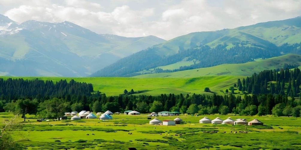 Picture 8 for Activity Urumqi: 9-Day Northern Xinjiang Premium Tour with Guide 5