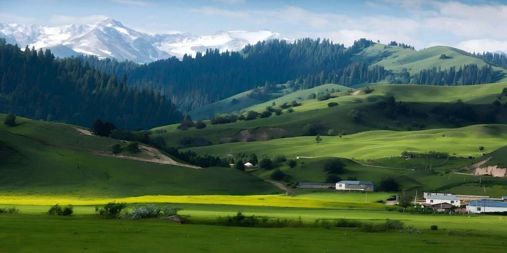 Picture 7 for Activity Urumqi: 9-Day Northern Xinjiang Premium Tour with Guide 2