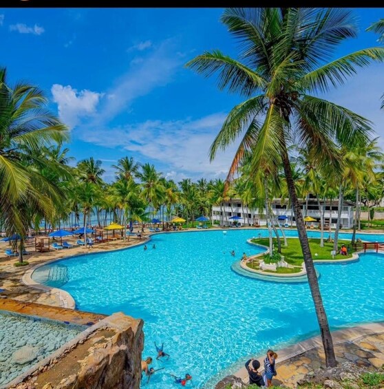 A large outdoor swimming pool surrounded by palm trees and lounge chairs. 4