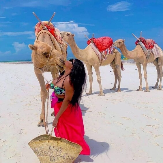 A person interacting with camels on a sandy beach. 1