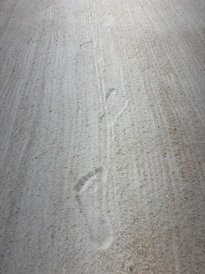 A sandy beach with footprints. 2