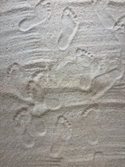 A sandy surface with multiple human footprints. 3