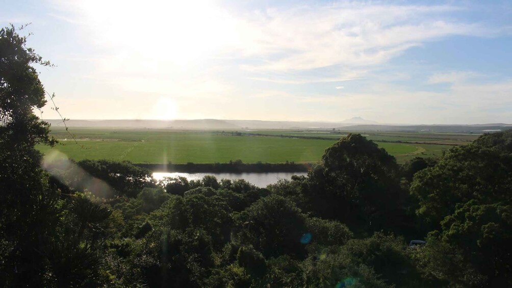 A landscape with a body of water, green fields, and a distant mountain range under a clear sky. 4