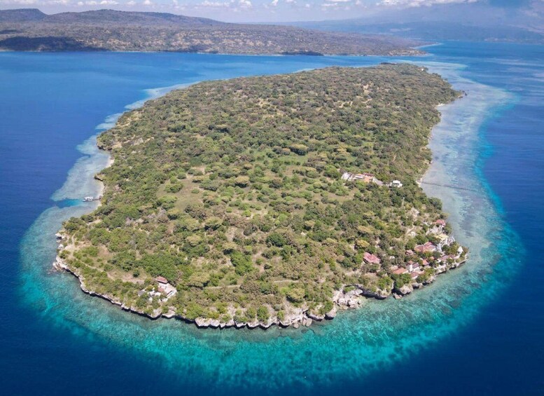 Picture 3 for Activity From Banyuwedang: Menjangan Island Snorkel w/ Hotel Pickup 4